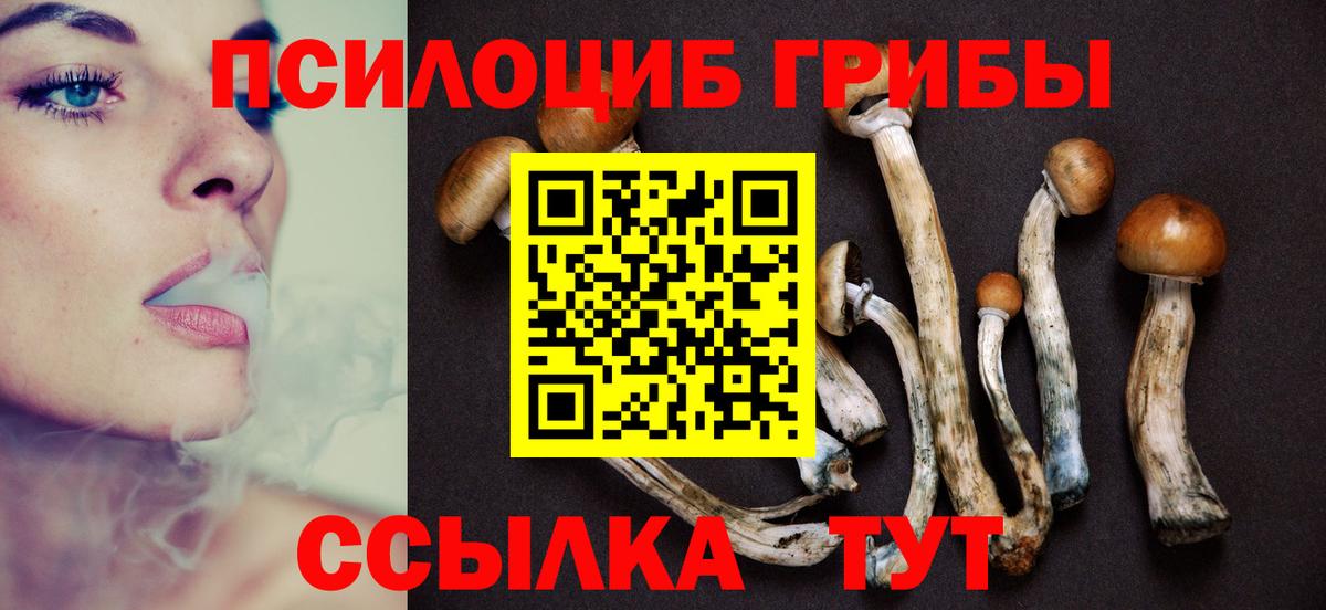 Псилоцибиновые грибы Cubensis  Вход с VPN  Заводоуковск  Галлюциногенные грибы Magic Shrooms 