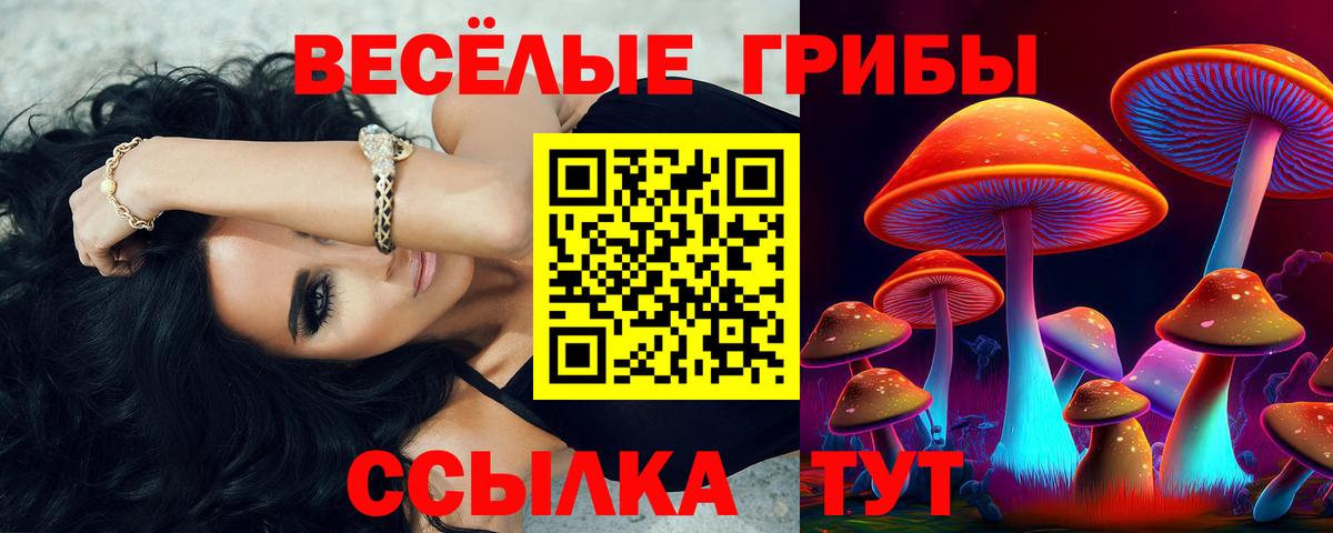 Псилоцибиновые грибы GOLDEN TEACHER Заводоуковск